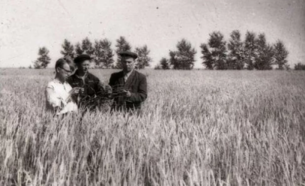 Целинники в Завьяловском районе.