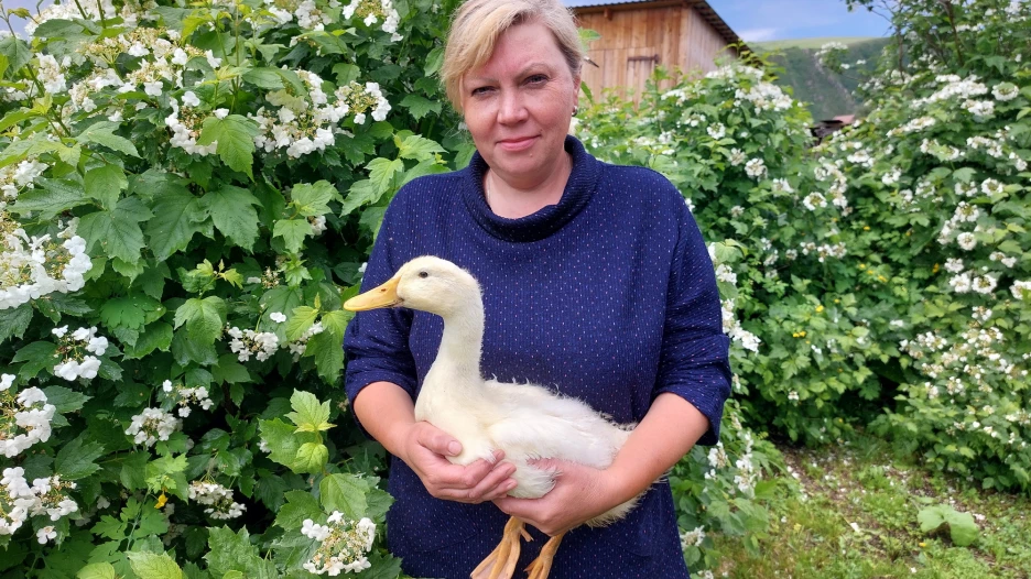 Гостевой дом «К бабушке в деревню» в Усть-Пустынке.
