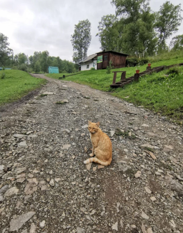 Чергинский зубрятник.