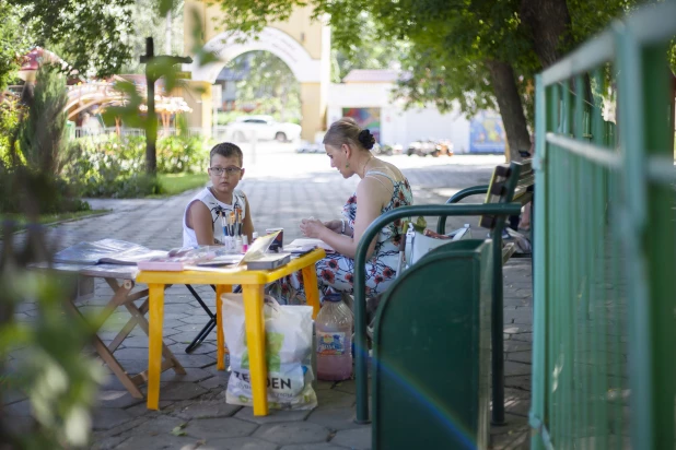 Аттракционы в парке "Солнечный ветер".