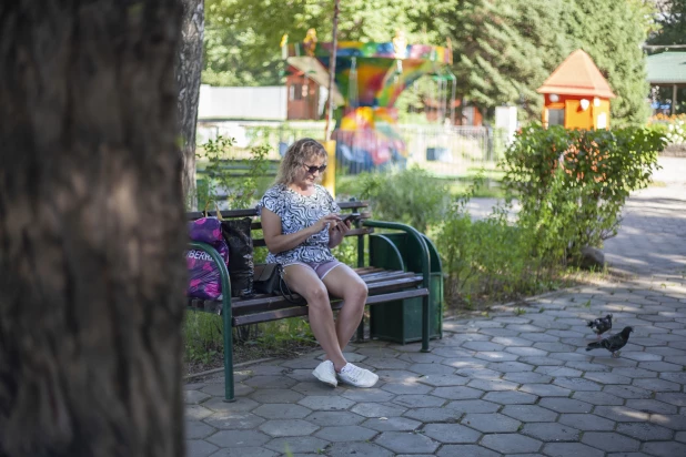 Аттракционы в парке "Солнечный ветер".