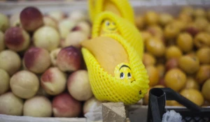 Крытый рынок.