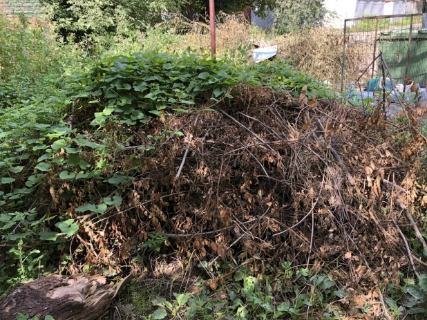 Огромная помойка с унитазами выросла в центре Барнаула и стоит там с весны.