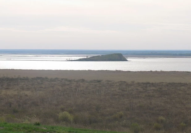 Остров в Новосибирском водохранилище в районе села Масляха, Крутихинский район