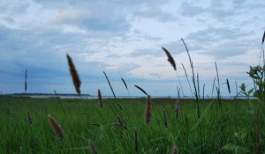 Алтайское село Крутиха.