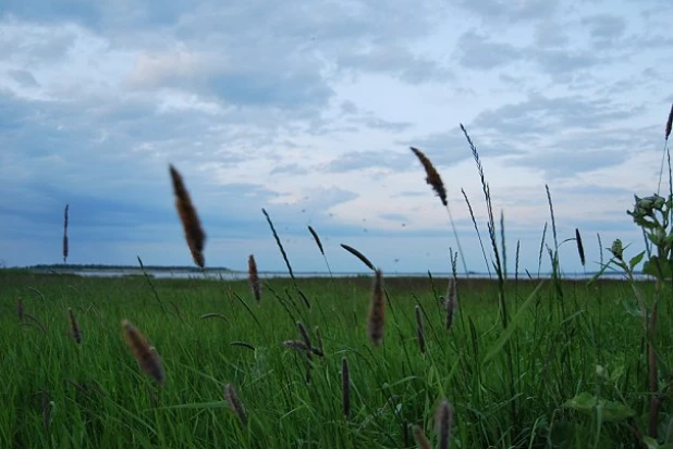 Алтайское село Крутиха.