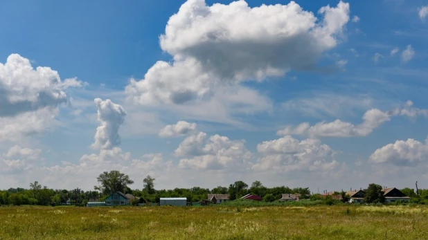 Село Новосельское. Лето, 2024.