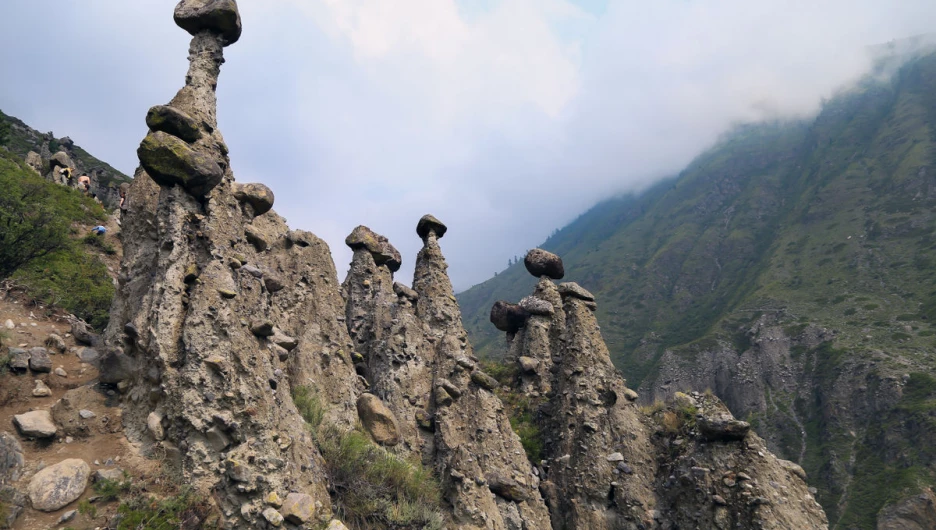 Каменные грибы в урочище Аккурум.