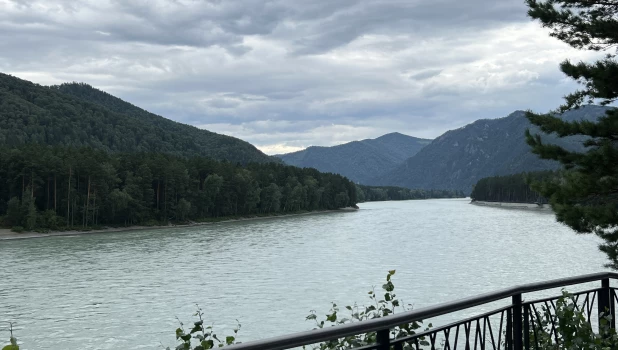 Река Катунь. Бирюзовая Катунь.