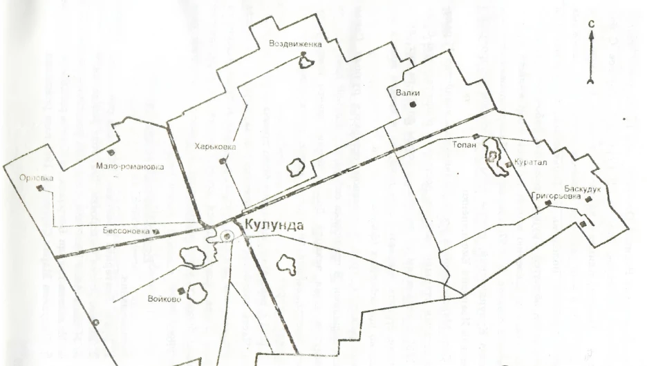 Кулундинский район.