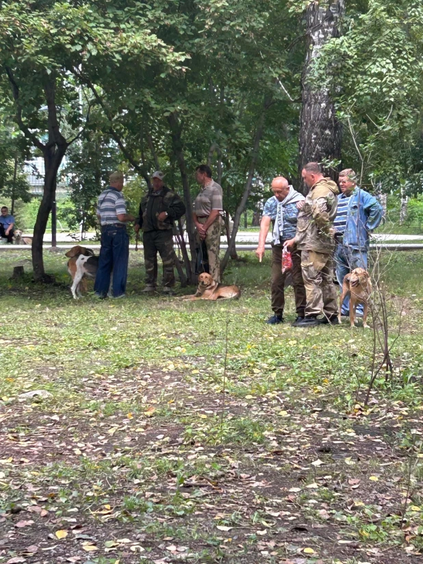 Выставка охотничьих собак в парке.