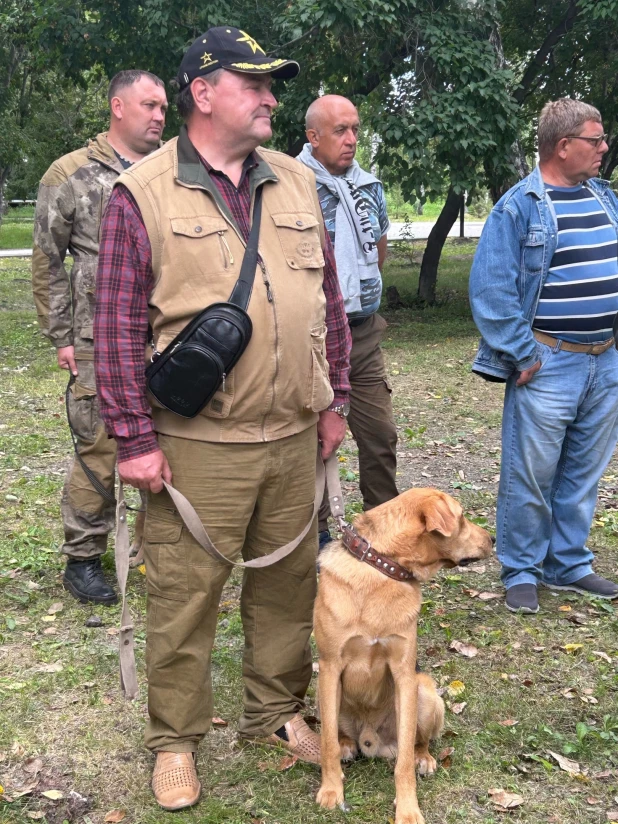 Выставка охотничьих собак в парке.