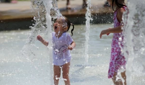 Лето 2024 года