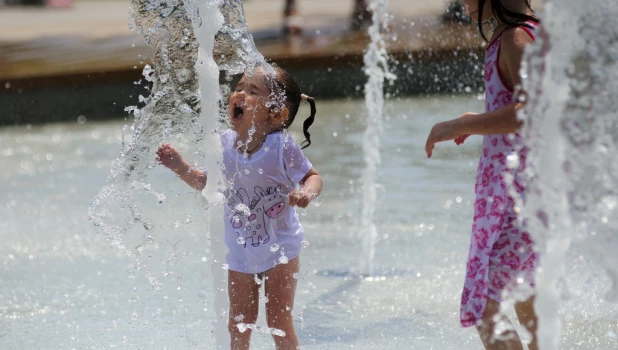 Лето 2024 года