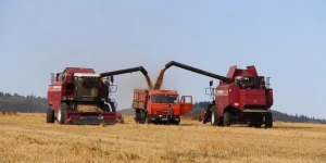 Уборка урожая