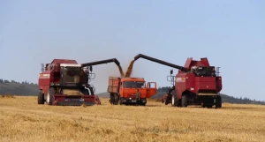 Уборка урожая