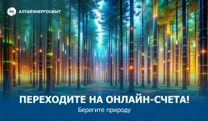 Энергокомпания сообщила о преимуществах онлайн-счёта