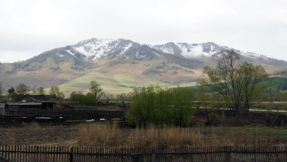 Село Солонешное, Алтайский край.