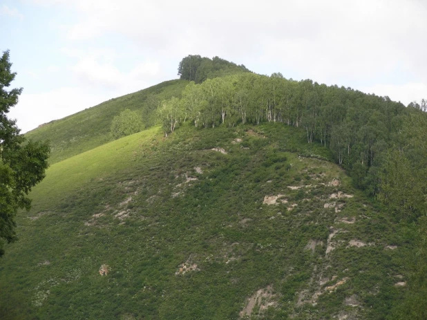 Село Солонешное, Алтайский край.