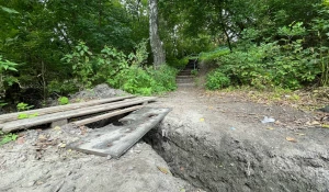 Лестница к детскому экоцентру.