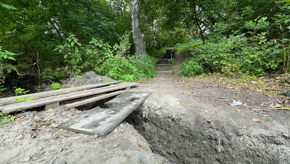 Лестница к детскому экоцентру.