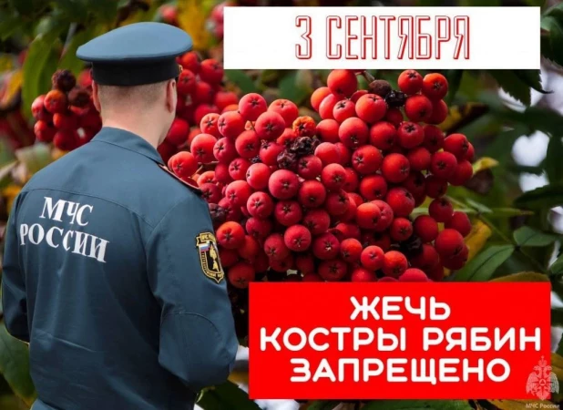 Мемы про 3 сентября