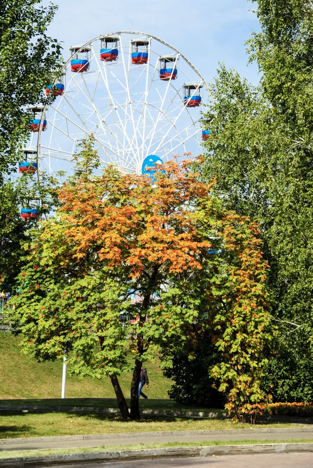 Осень в Барнауле.