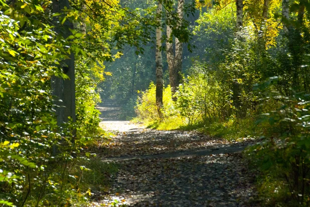 Осень в Барнауле.