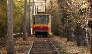 Осень в Барнауле.