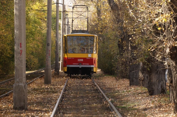 Осень в Барнауле.