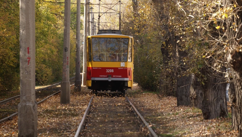 Осень в Барнауле.