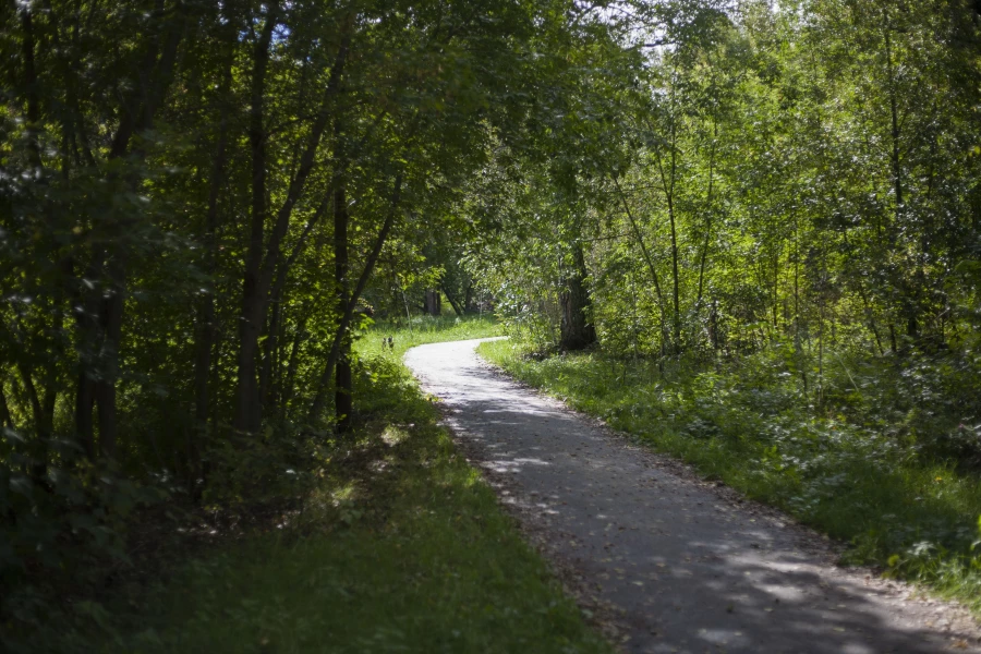 Парк &quot;Юбилейный&quot;, 2024 год.