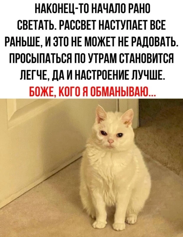 Мемы про начало рабочей недели 