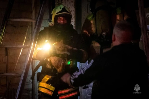 Пожар в частном приюте "Бусинка".