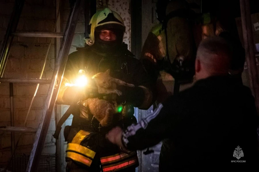 Пожар в частном приюте &quot;Бусинка&quot;.