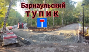 Барнаульцы жалуются на благоустройство парка