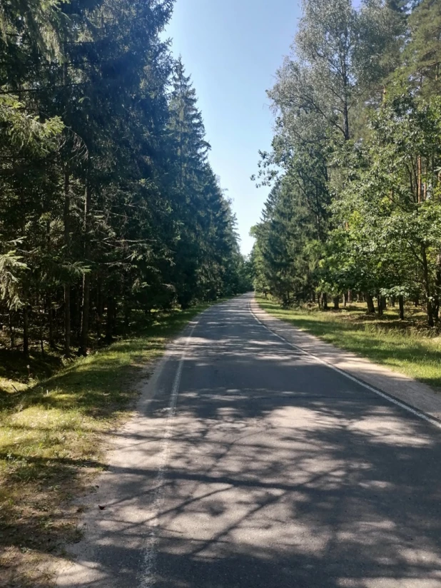 Беловежская пуща, Брестская область.