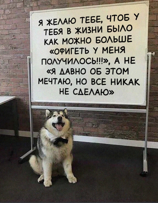 Добрые мемы.