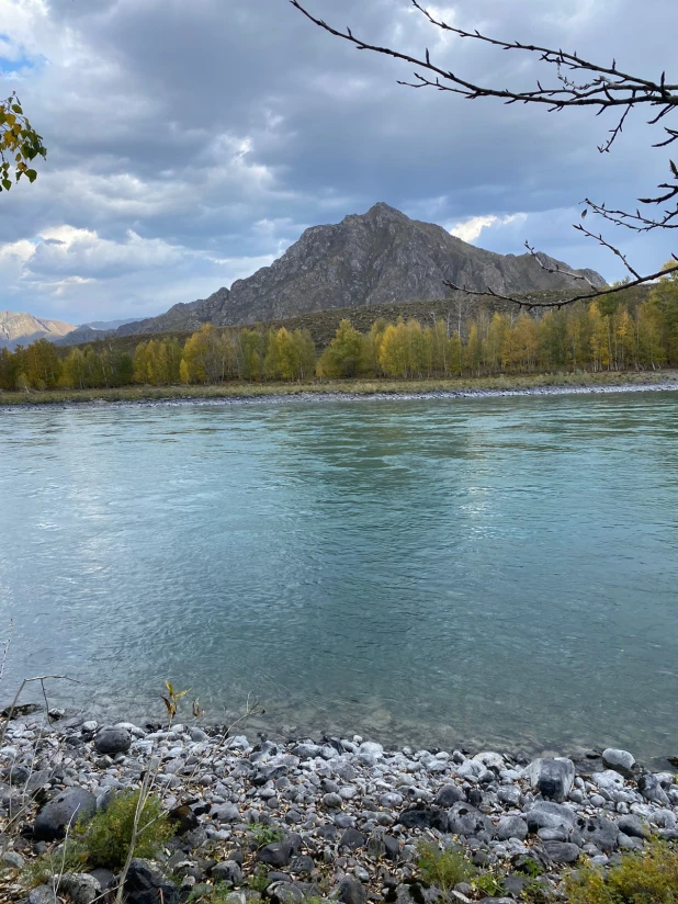 Осенняя Катунь.