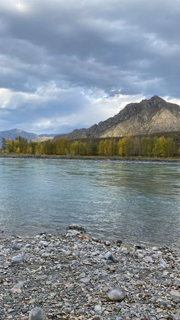 Осенняя Катунь.