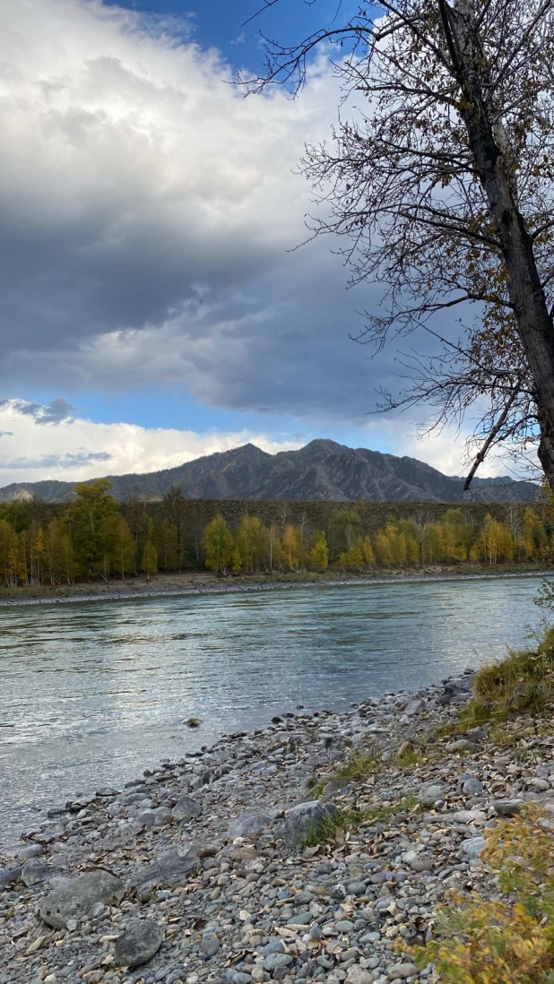 Осенняя Катунь.