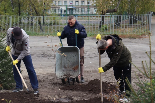 К заключительному этапу озеленения присоединились и участники «Молодежи Справедливой России» в Алтайском крае.