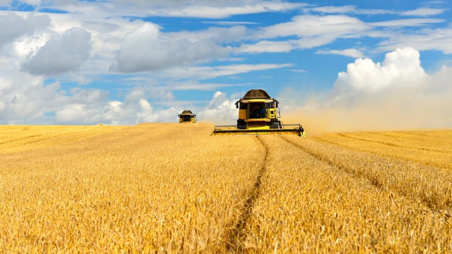 Сельское хозяйство — один из ключевых секторов экономики Алтайского края.