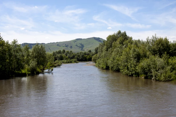 Алтайское село Солоновка.