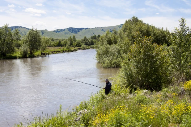 Алтайское село Солоновка.