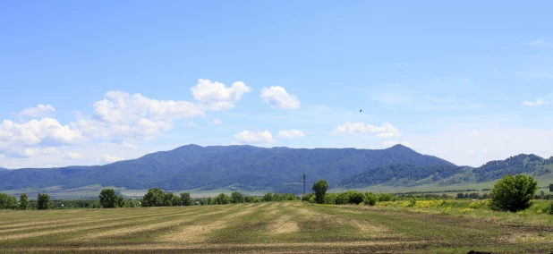 Алтайское село Солоновка.