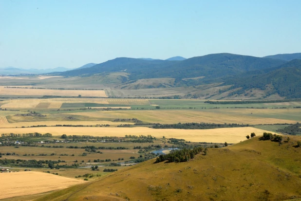 Алтайское село Солоновка.