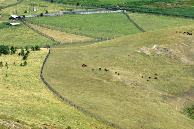 Алтайское село Солоновка.