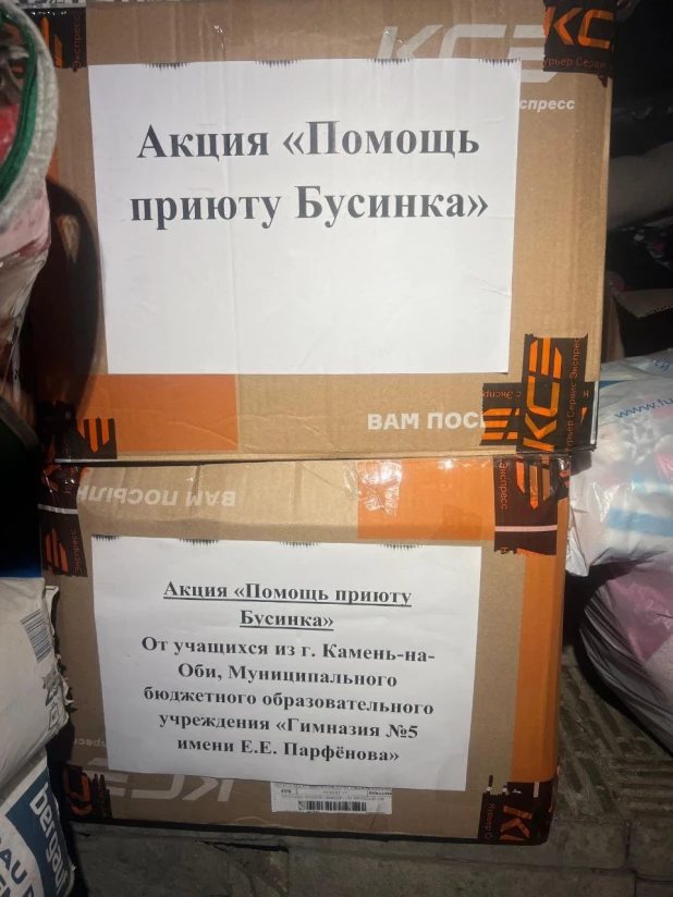 Приют «Бусинка» продолжает активно получать помощь на восстановление