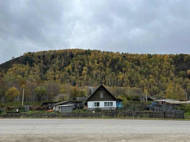 Как Солонешенский район охватила осень.